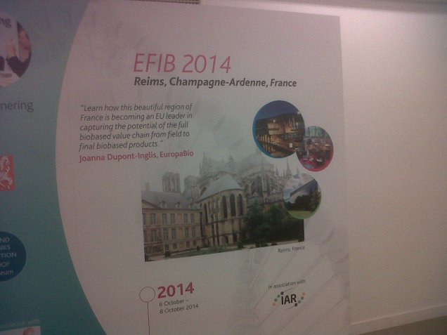 efib-2014.jpg