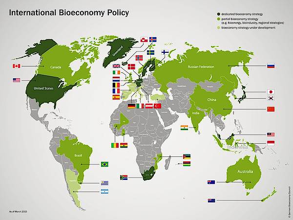 csm_Weltkarte_Biooekonomiestrategien_2015_3cff829d69.jpg image