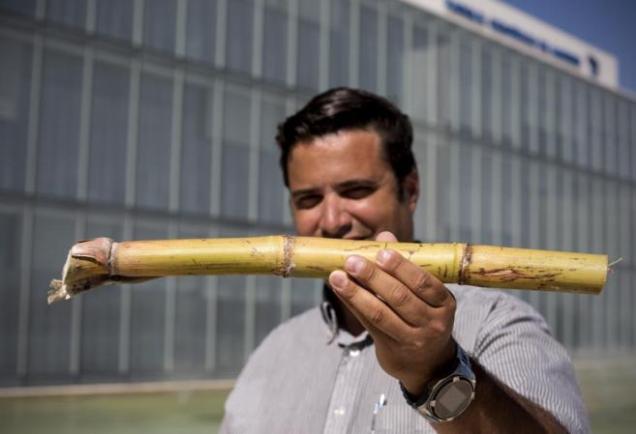 Al Costa, Ceo of Alkol Biotech