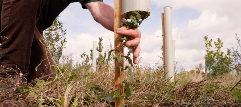 E87755B3-9C50-4882-AD58-C4817909F05D