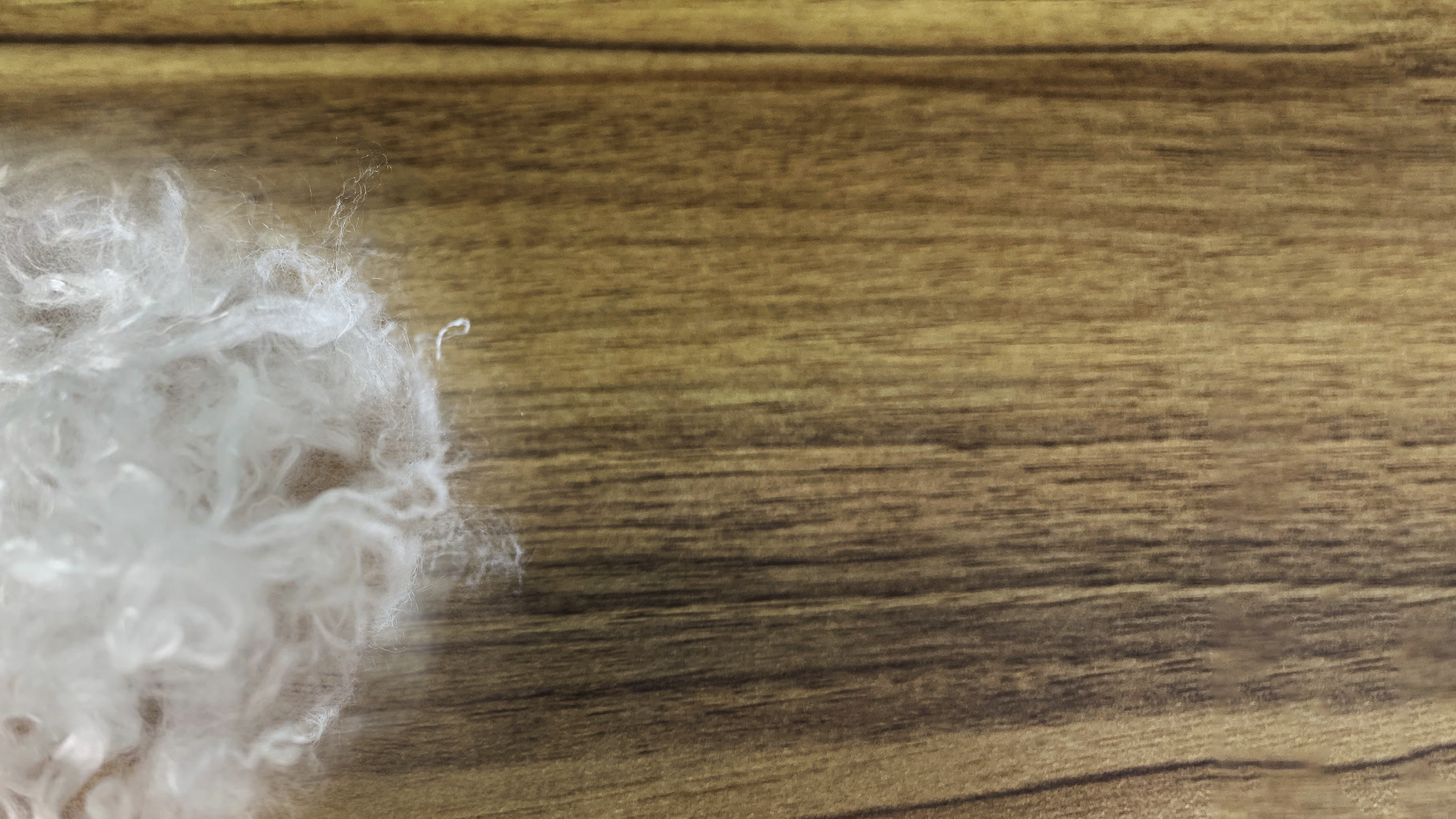 99743965-7AF9-4382-BFD7-672AF27AFFF6